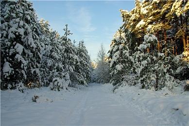 宁静村舍竟暗含隐情？武侠RPG《刀剑江湖路》即将发售